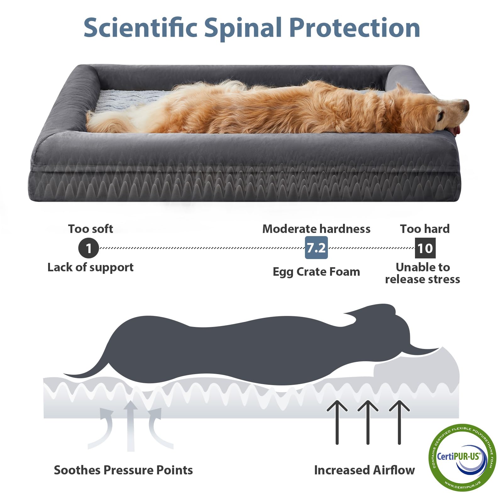 WNPETHOME XXL dog bed with bolsters creating a cozy edge for safe lounging.