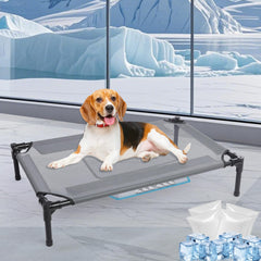 Wn's Day 34-inch outdoor elevated dog bed front view showing breathable frame and cooling surface.