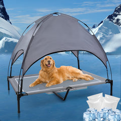 Wn's Day 48'' outdoor elevated bed with canopy keeps large dogs cool outdoors.
