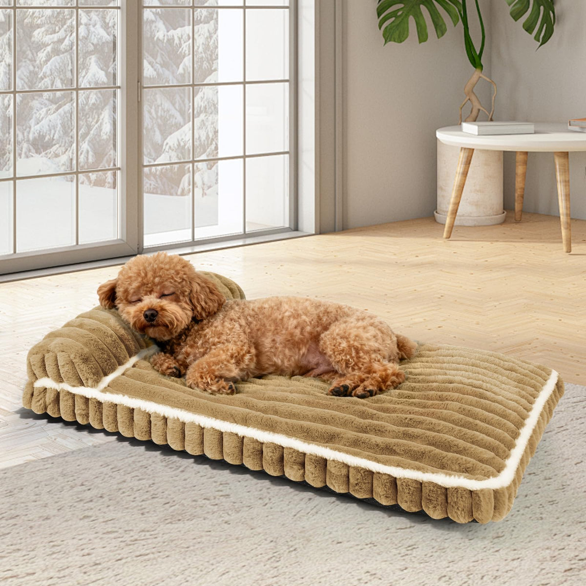 Wn's Day Comfort Dog Bed with soft plush top for cozy lounging and support