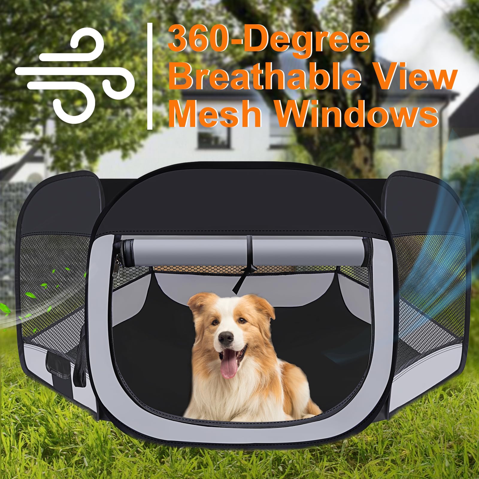 Wn's Day playpen offers a 360-degree view for easy monitoring of your pet.