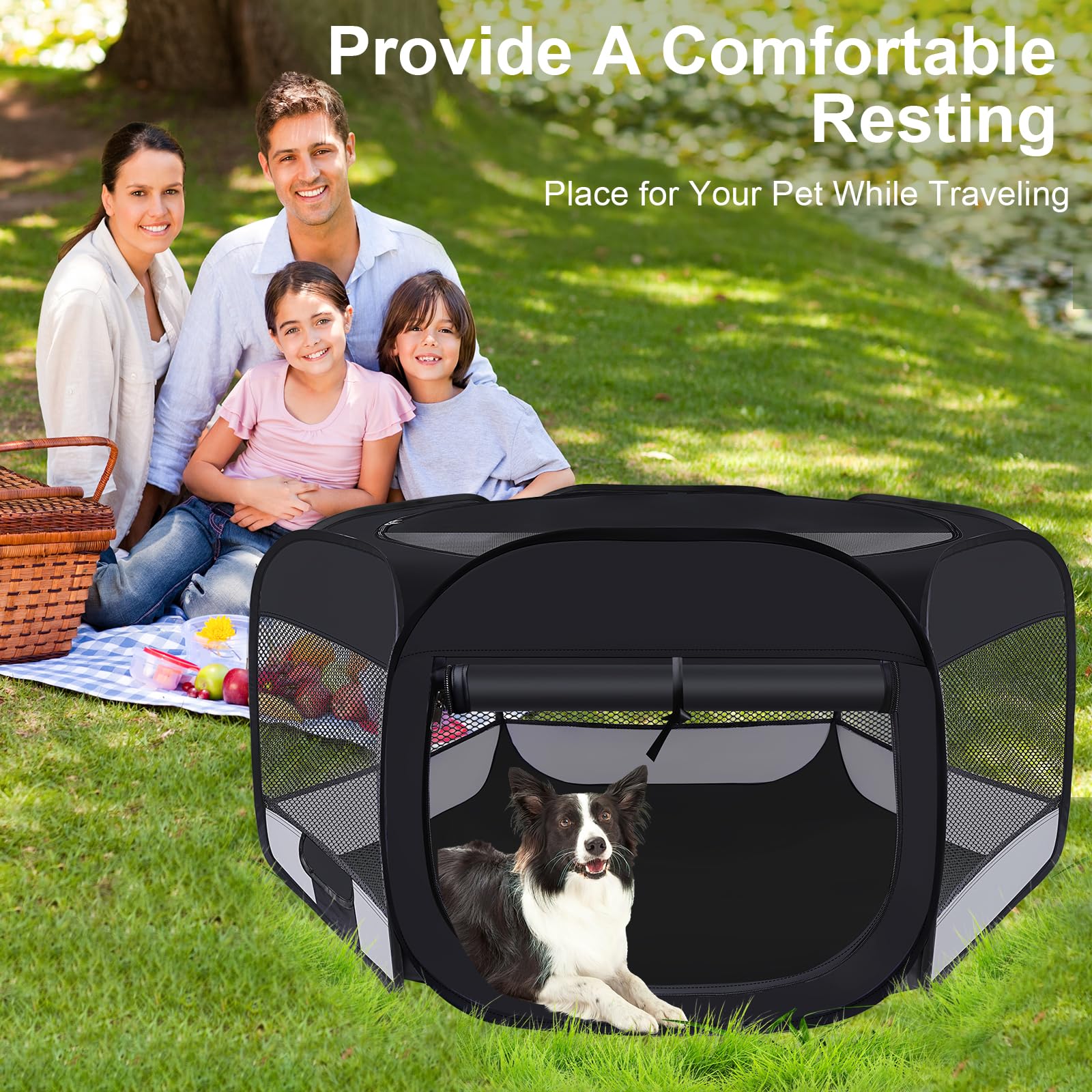 Wn's Day playpen offered in three sizes to fit small pets