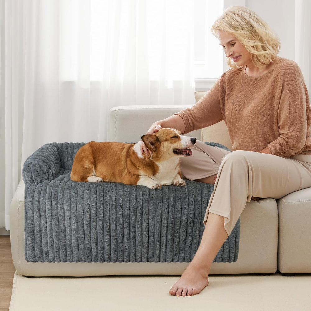 Couch bed shown on a sofa for daily pet comfort.