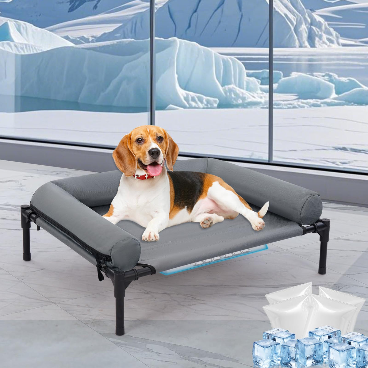 Wn's Day outdoor elevated dog bed with pillow for cooler, off-ground comfort.