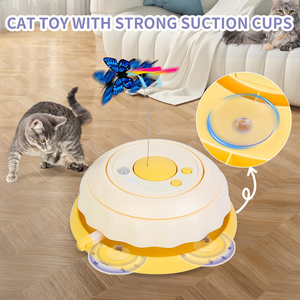Wn's Day suction-base stability prevents tipping during vigorous play