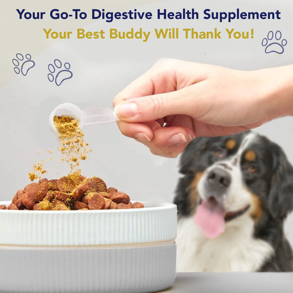WNz Health Probiotics for Dogs bottle demonstrates maximum-strength digestive support