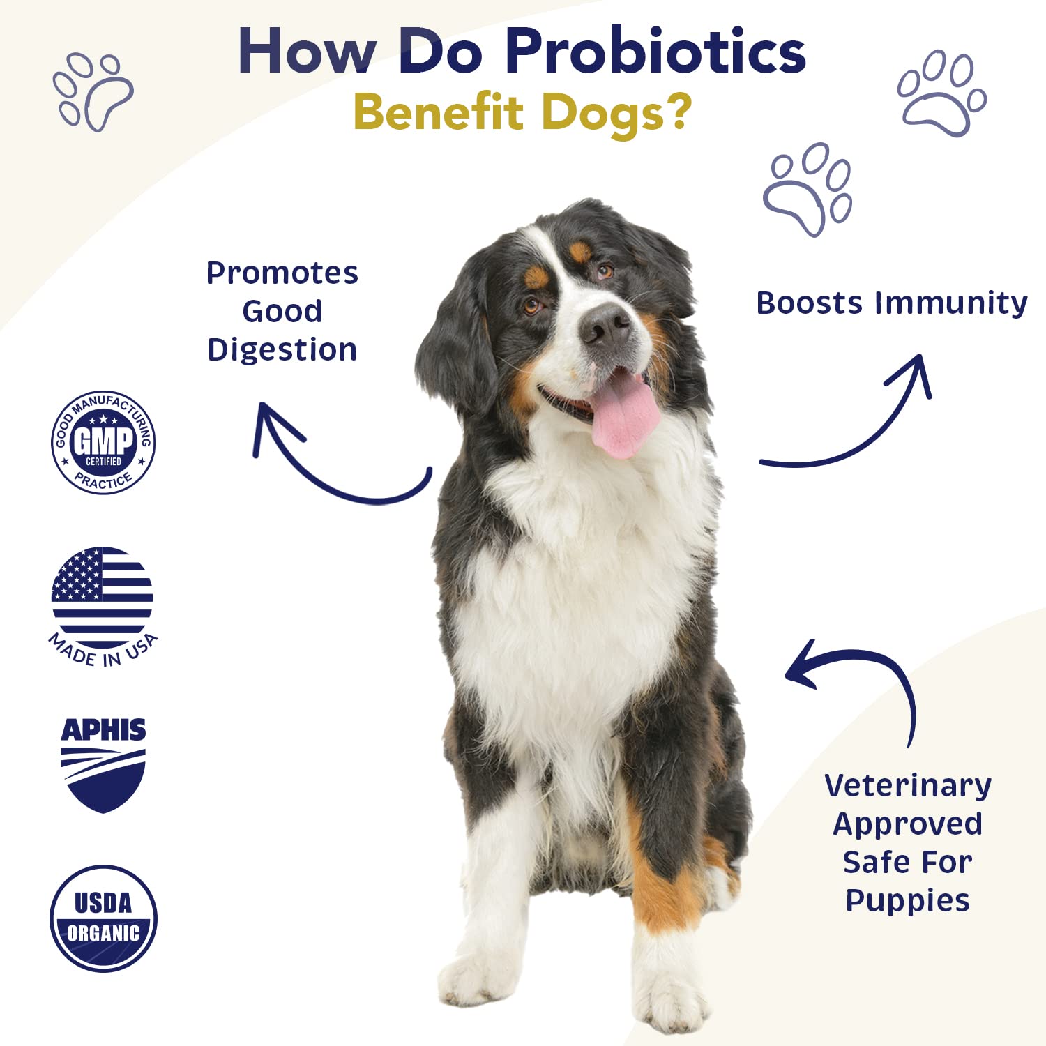 WNz Health Probiotics for Dogs spoon-dispense makes daily serving quick and easy