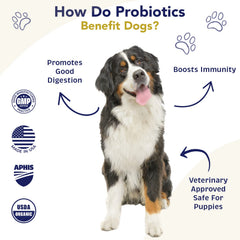 WNz Health Probiotics for Dogs spoon-dispense makes daily serving quick and easy