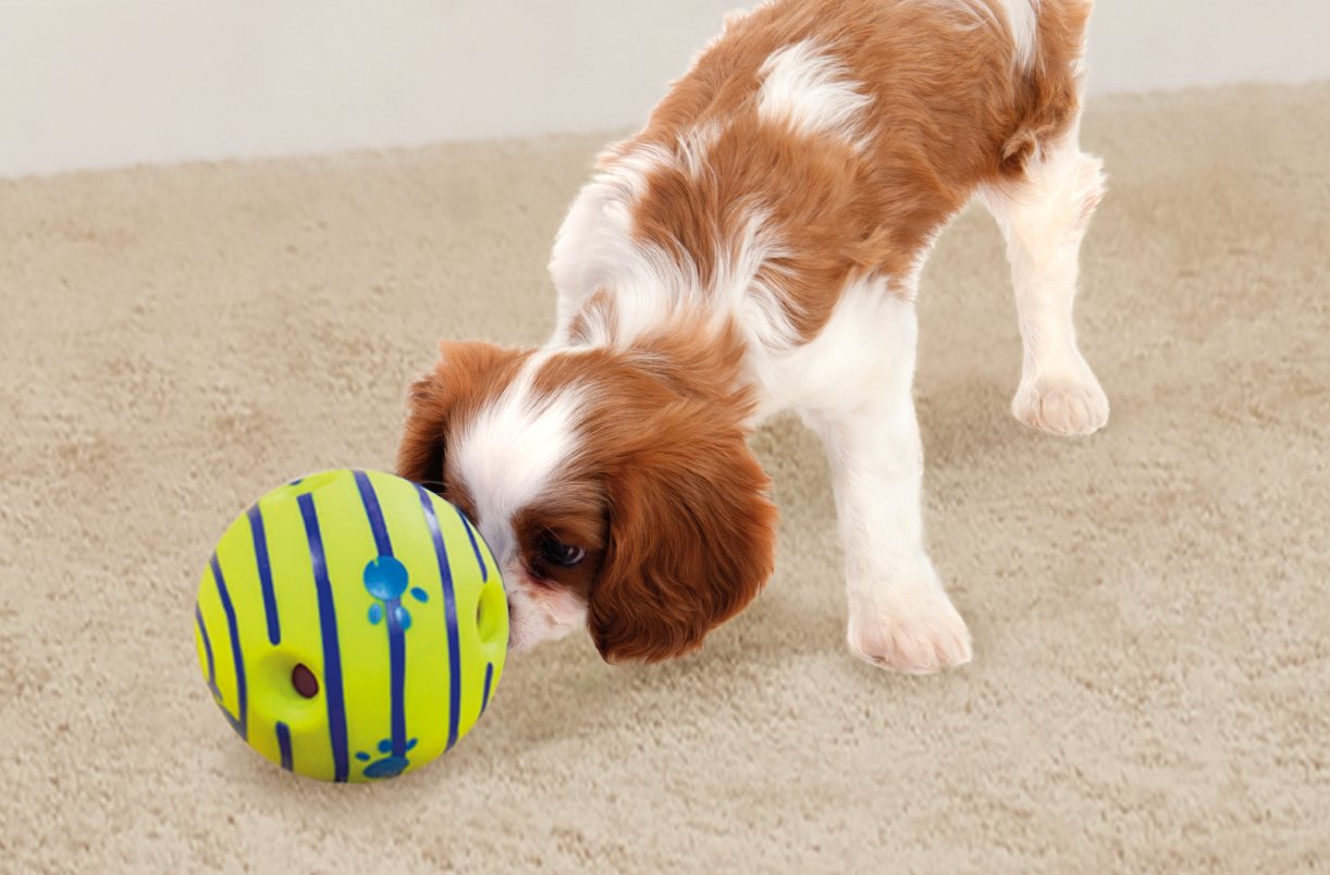 Wobble Wag Giggle Ball four grip pockets for easy pickup