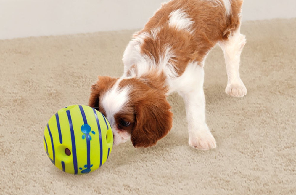 Wobble Wag Giggle Ball four grip pockets for easy pickup