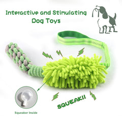 Wodoca interactive toy with pull rope for training and bonding
