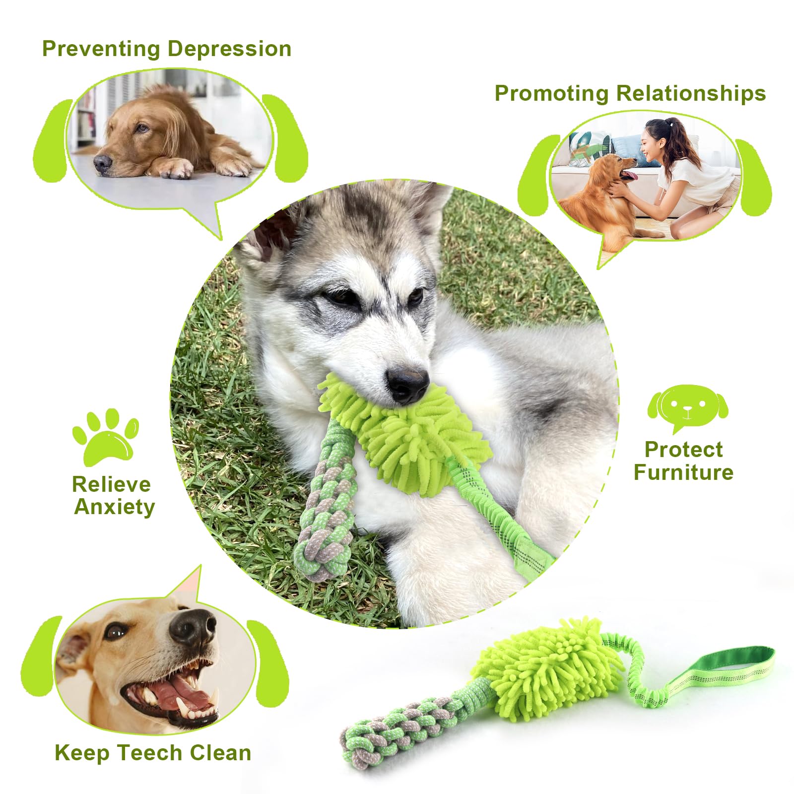 Wodoca squeaky toy adds excitement for indoor and outdoor games