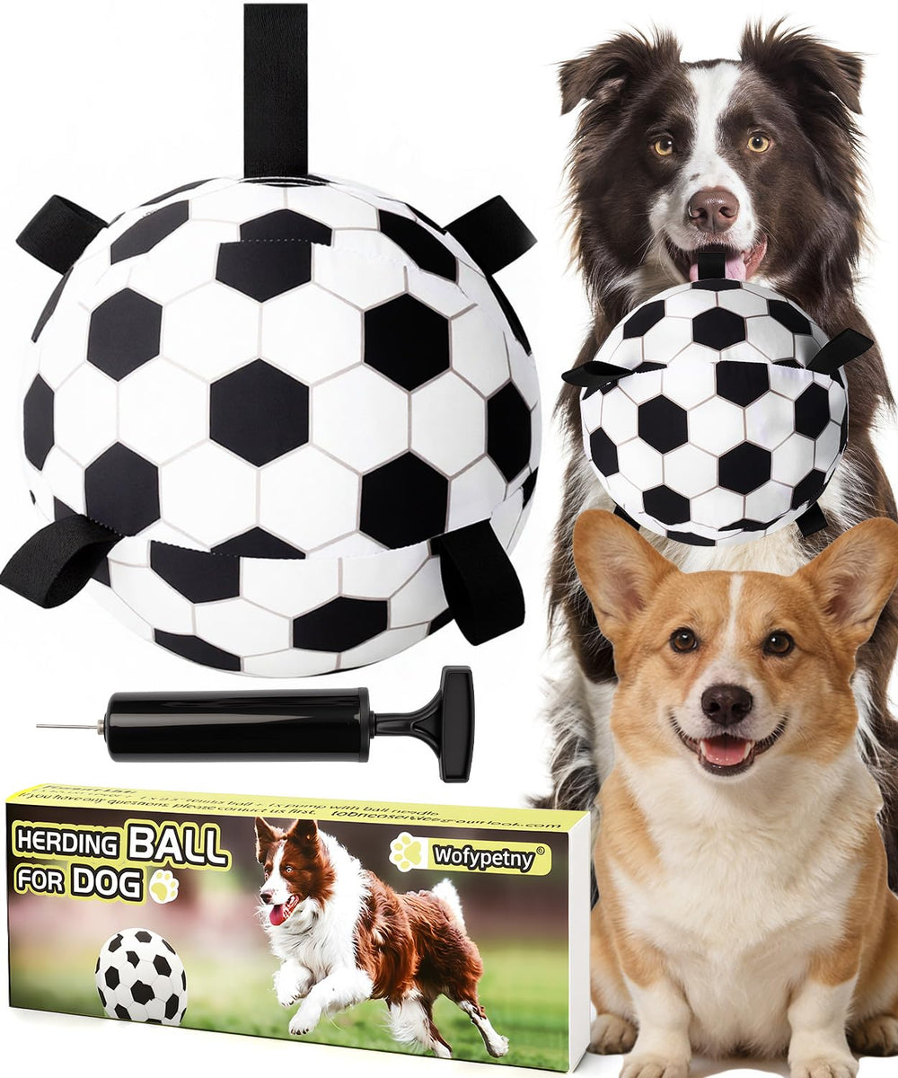 Wofypetny 9.5-inch herding ball ready for outdoor play and exercise.