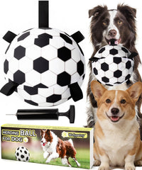 Wofypetny 9.5-inch herding ball ready for outdoor play and exercise.