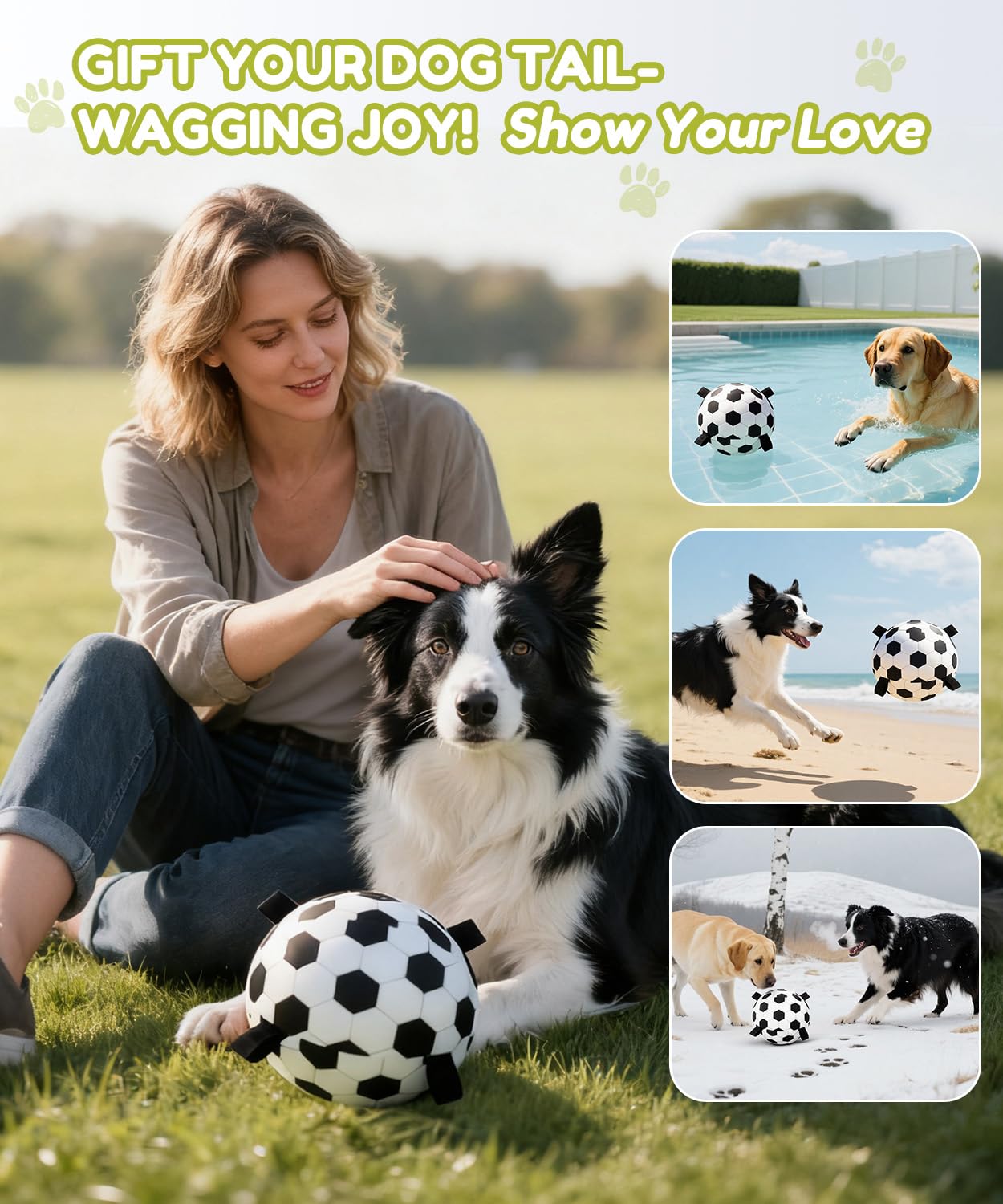 Wofypetny dog enjoys outdoor play with an engaging, interactive ball.