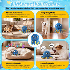 Wofypetny moving dog toy with music keeps dogs entertained and active