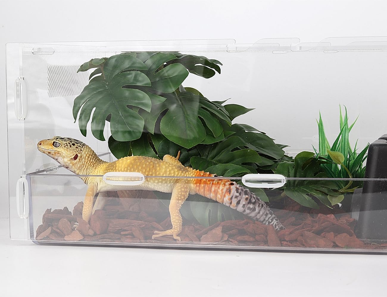 WOLEDOE easy cleaning damp-wipe care for terrarium decor.