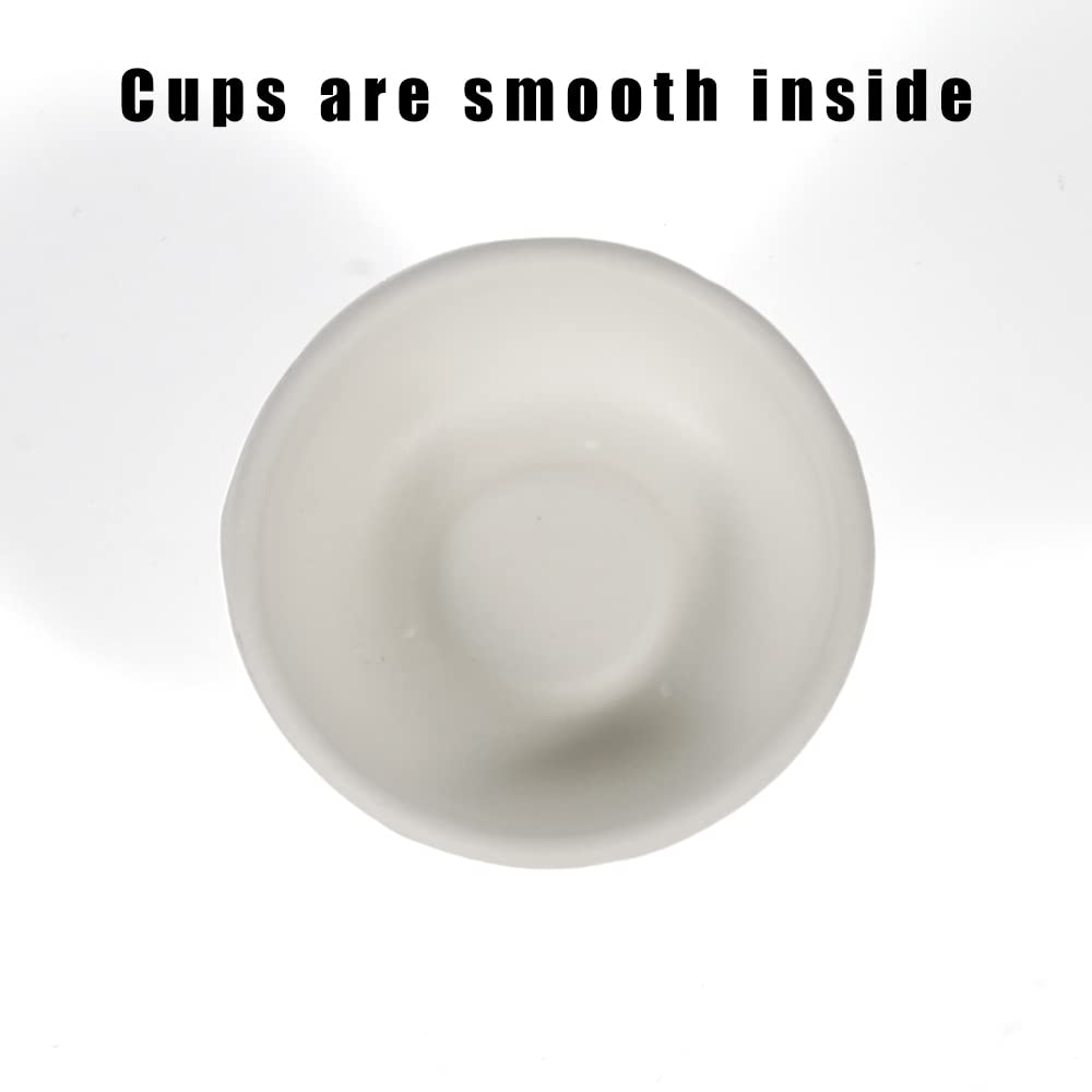 WOLEDOE gecko cups with non-slip bottom, reliable for stable feeding during tank time.