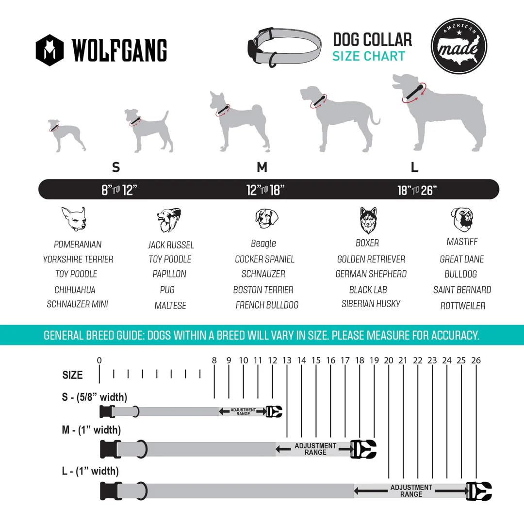 Wolfgang Heavy Duty collar training-scene showing secure leash attachment