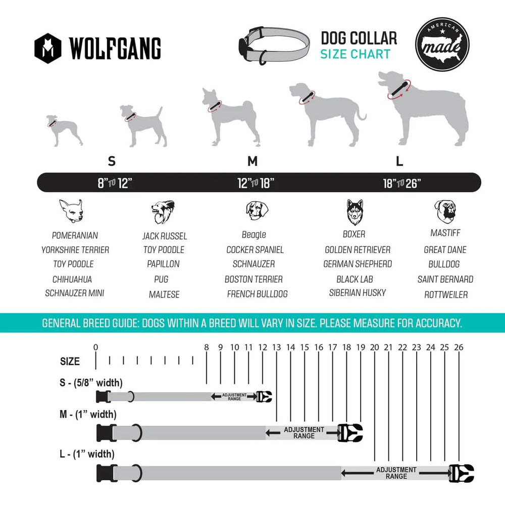 Wolfgang Heavy Duty collar training-scene showing secure leash attachment
