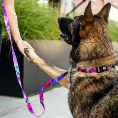Wolfgang Heavy Duty collar weather-ready material resists rain and stains