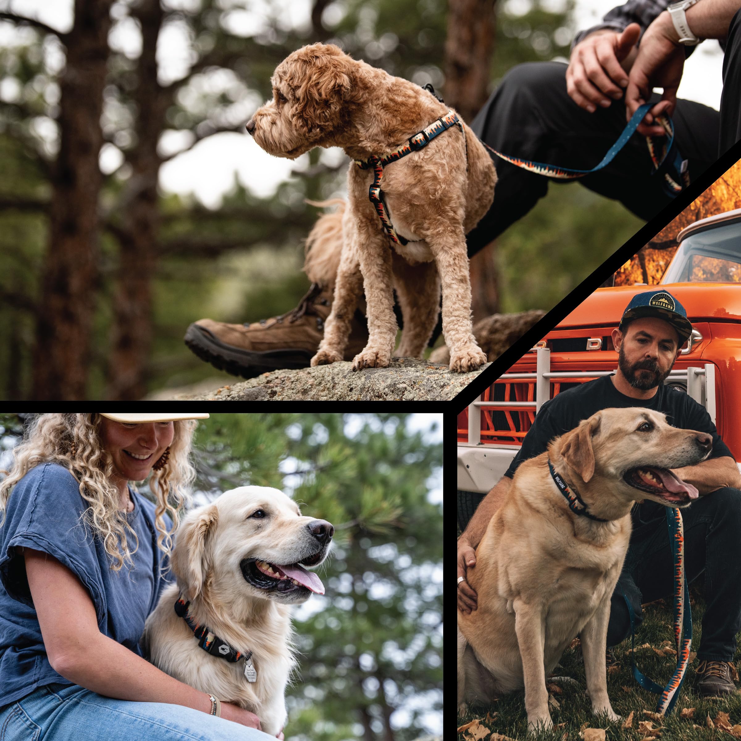 Wolfgang Heavy Duty collar: secure-fit supports active dogs on rugged outdoor activities.
