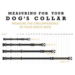 Wolfgang welded steel D-ring attachment ensures secure leash connection.
