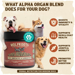 WolfRoots Alpha Organ Blend ingredients close-up, showing beef liver, heart, and kidney for canine nutrition.