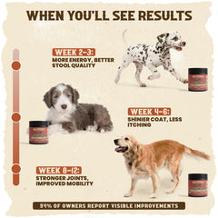 WolfRoots Alpha Organ Blend sprinkled over kibble for easy meal enhancement.
