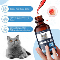 WOMRICH B12 cat digestive health label shows supported digestion