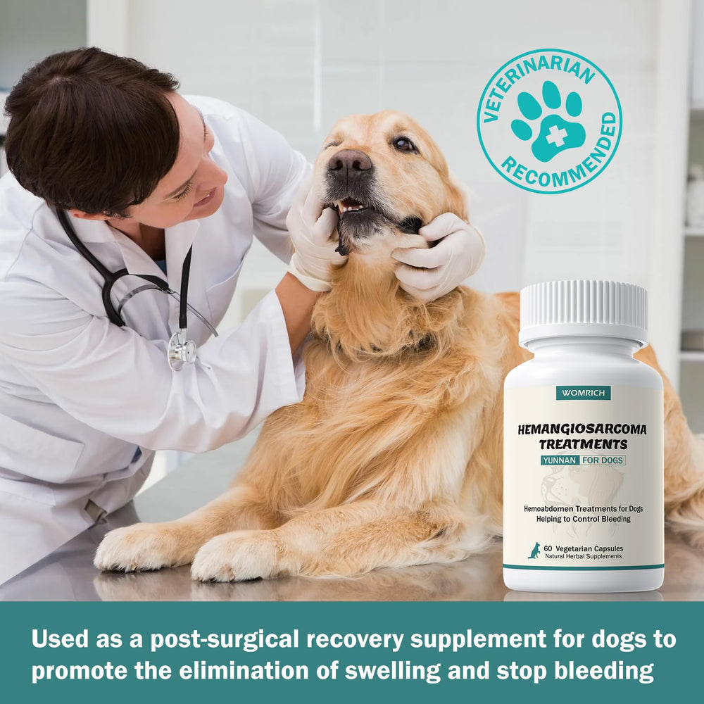 WOMRICH Blood Support powder dissolves in broth for effortless intake.