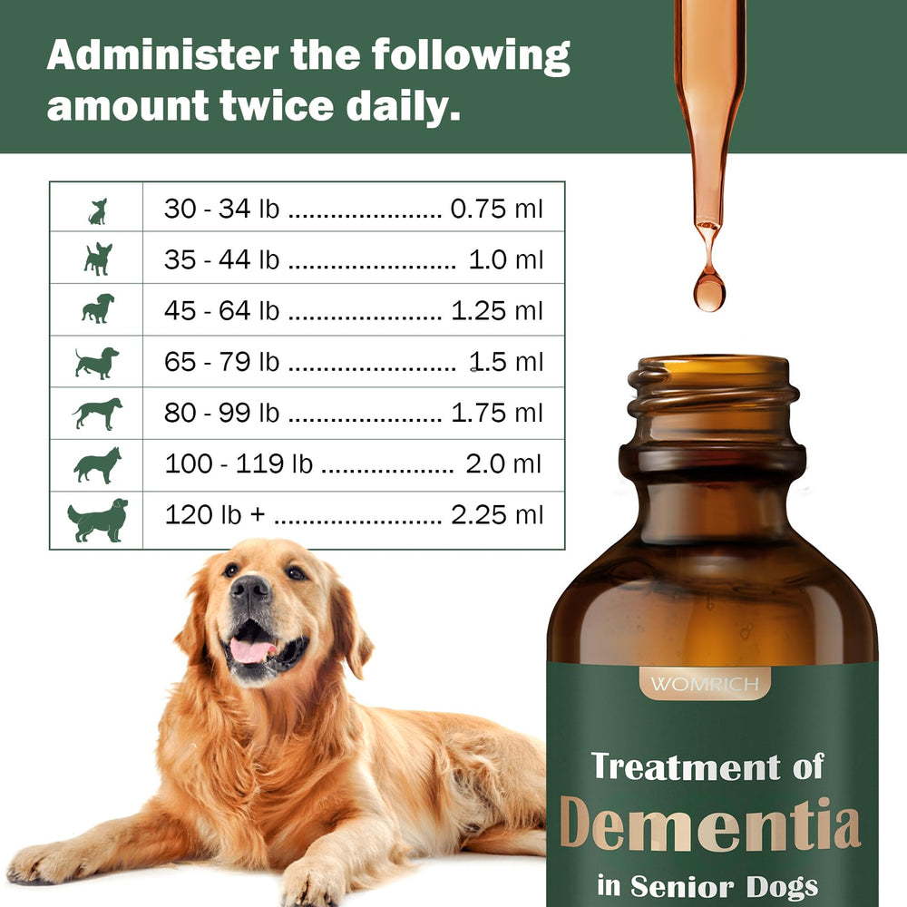 WOMRICH Senior Dog Brain Health dog walking with owner reflects improved engagement
