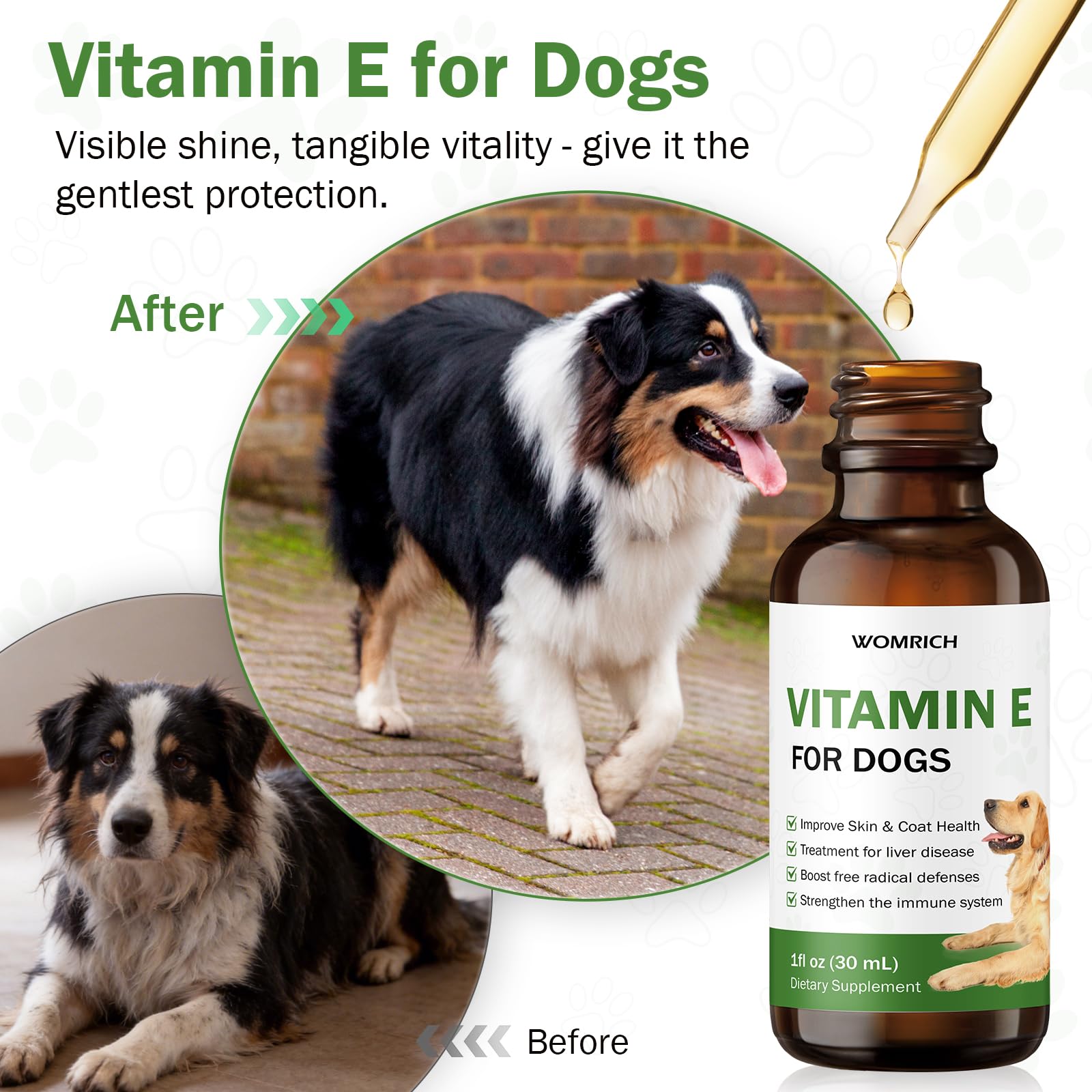 Bottle of WOMRICH Vitamin E for Dogs promoting coat shine and healthy skin.