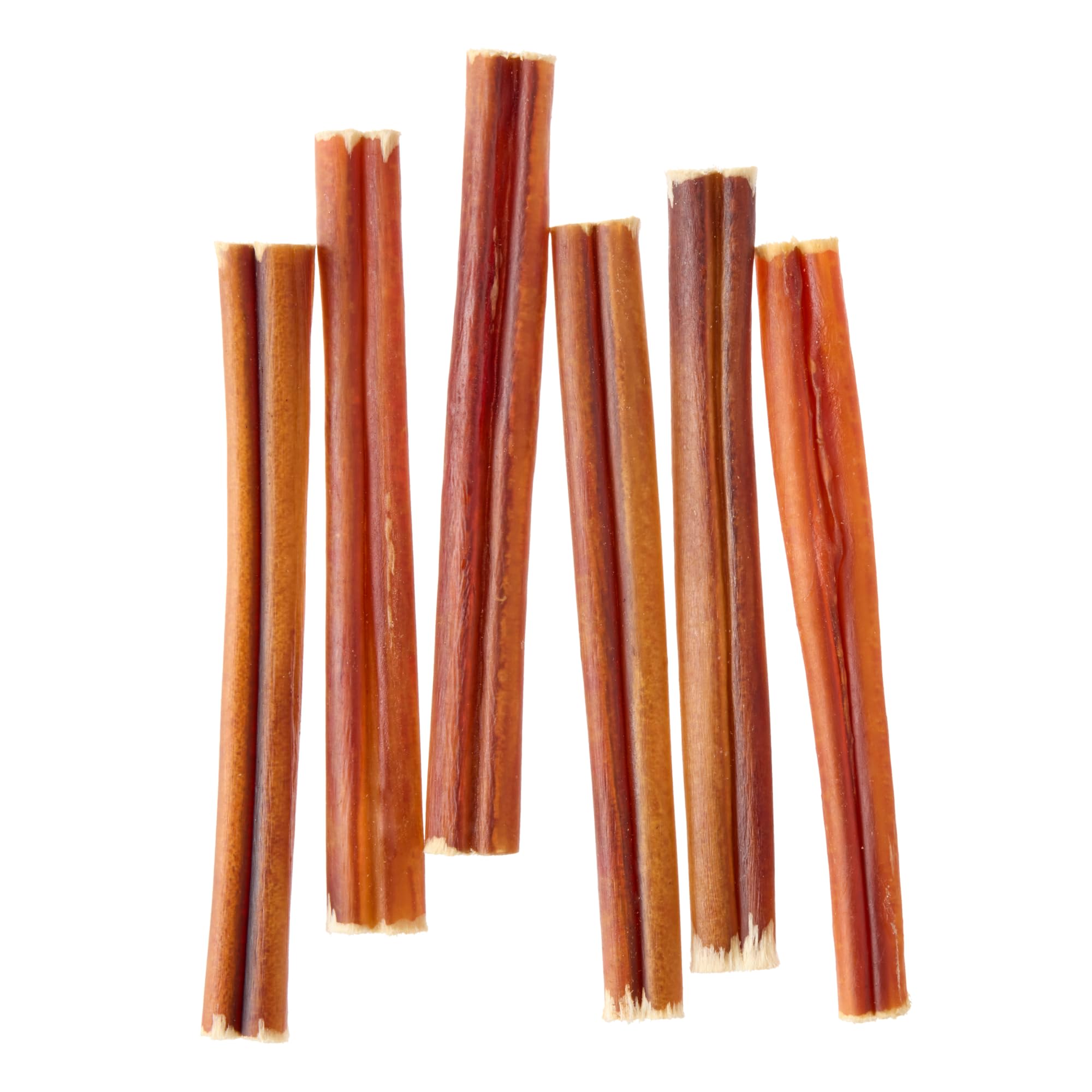 Wonder Bound Bully Sticks dog enjoying chew; long-lasting beef treat for daily play.