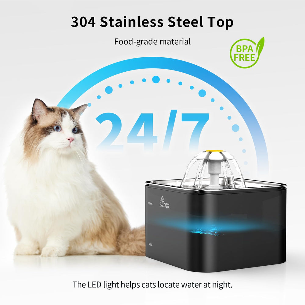 Wonder Creature 101oz 3L pet fountain with LED light in black brightens a room
