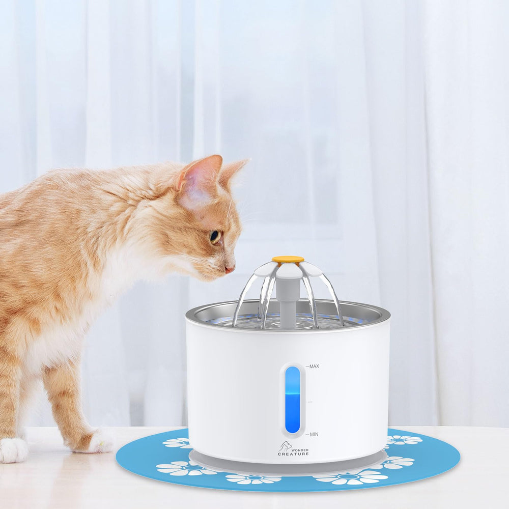 Wonder Creature dishwasher-safe top simplifies maintenance.