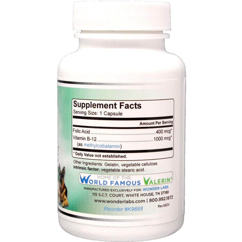 Close-up of Pet Factor B-12 capsules ready for daily use supporting B-12 absorption.