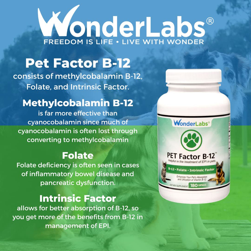Bottle with dog paw background signaling pet-friendly supplement.