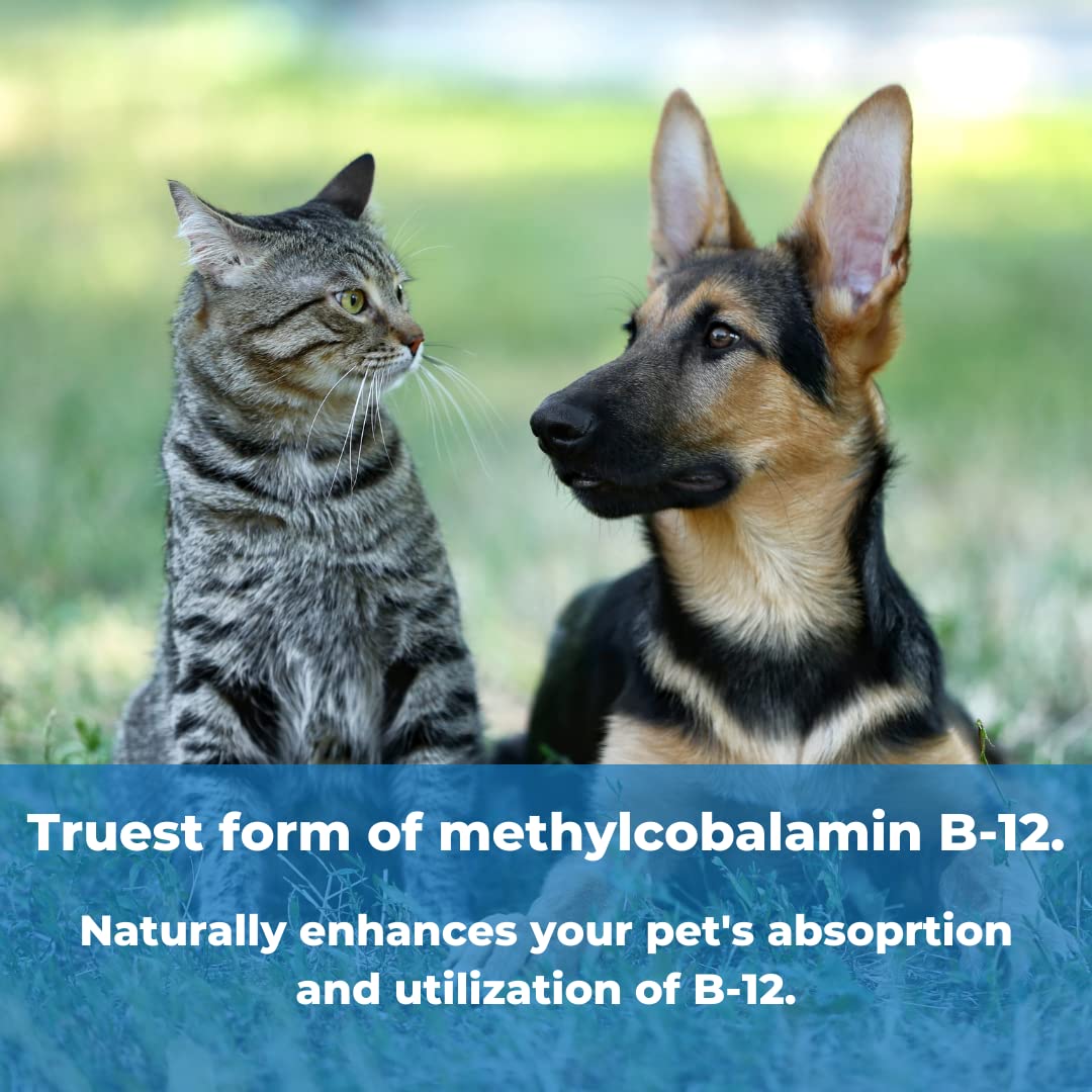 Label detail on the Pet Factor B-12 bottle showing folic acid and intrinsic factor for enhanced absorption.