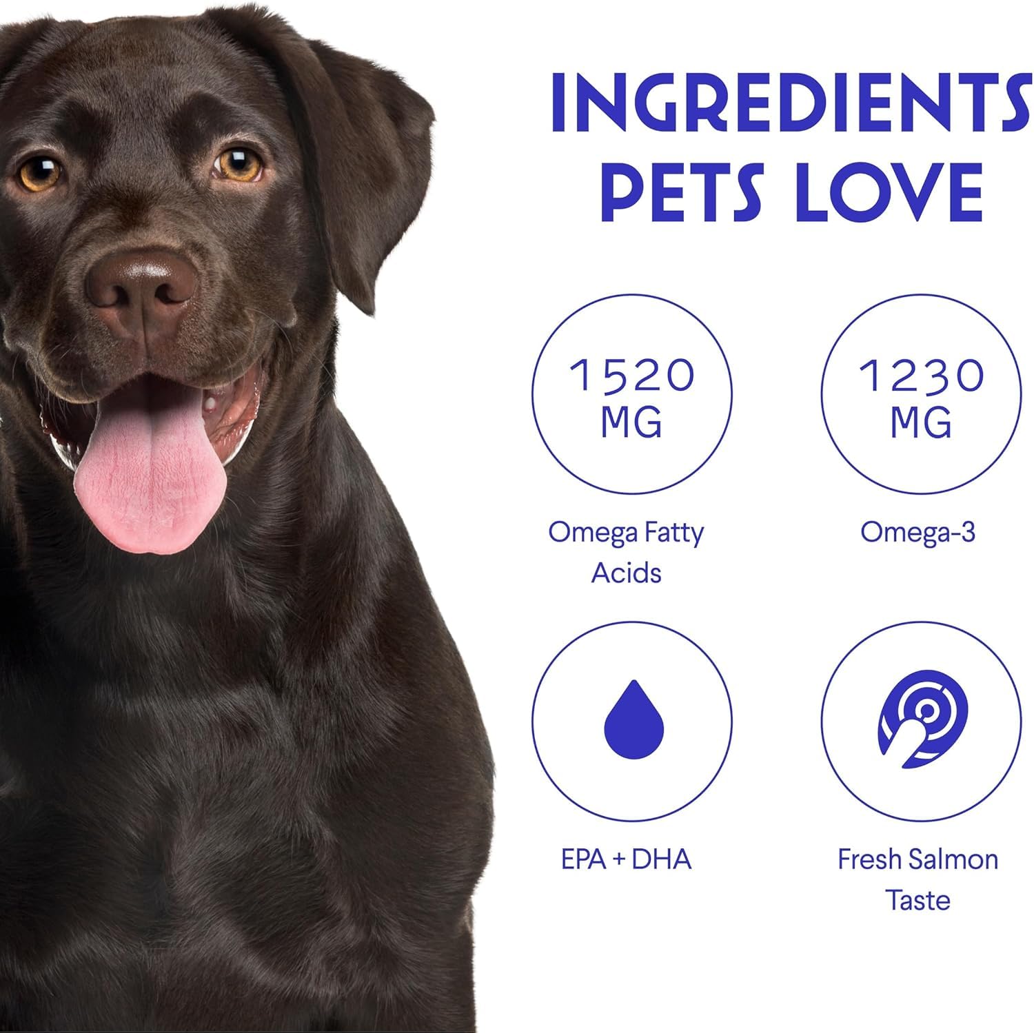 Wonder Paws astaxanthin enriched ingredient detail emphasizing antioxidant support for dogs