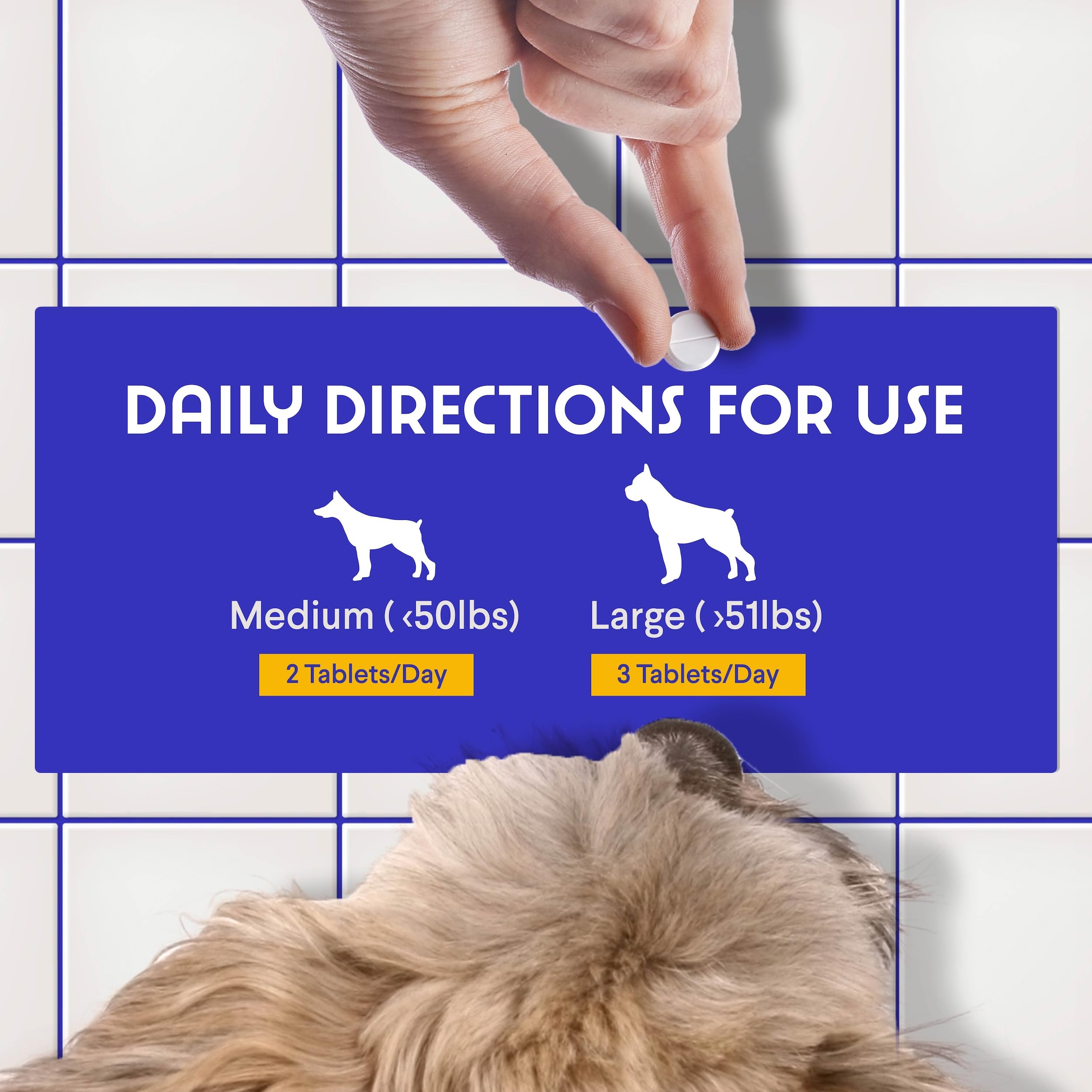 Wonder Paws B12 nutrition label highlighting B12 and 5-MTHF folate