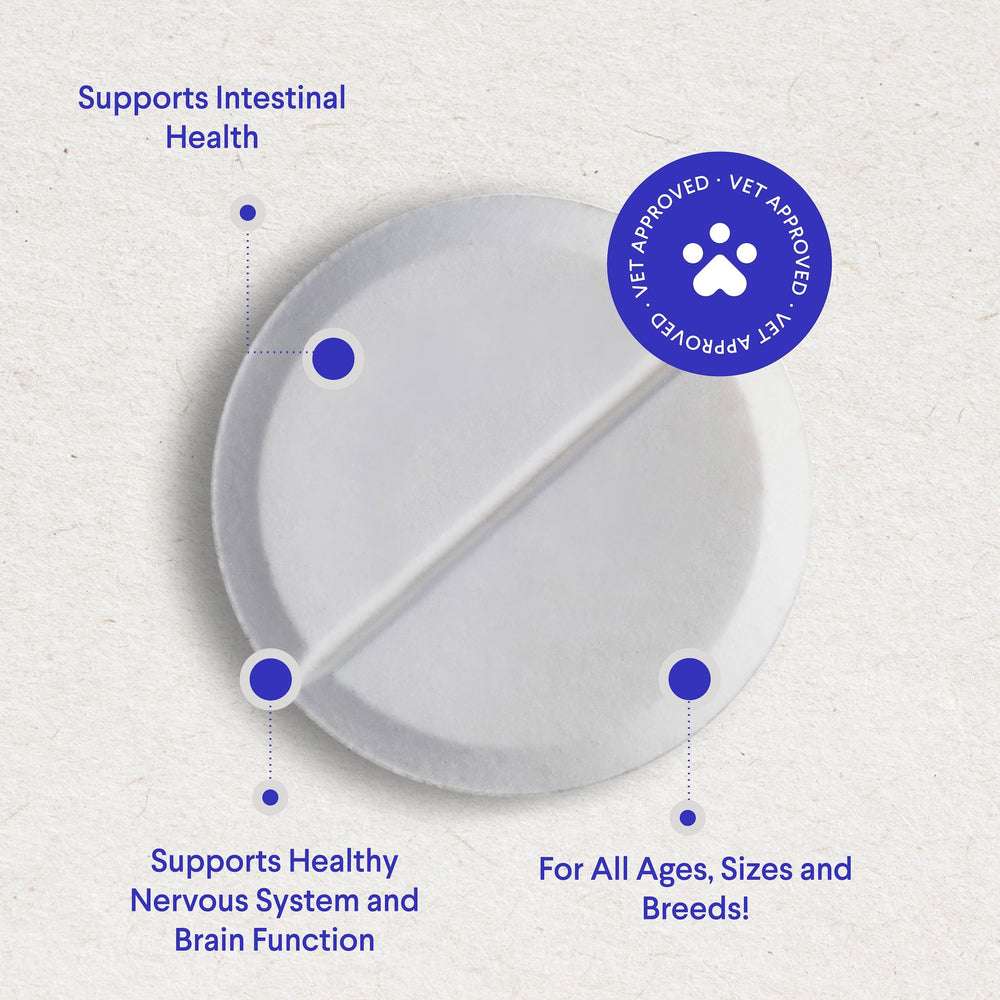 Wonder Paws B12 chew dispensing image showing easy daily dosing for dogs