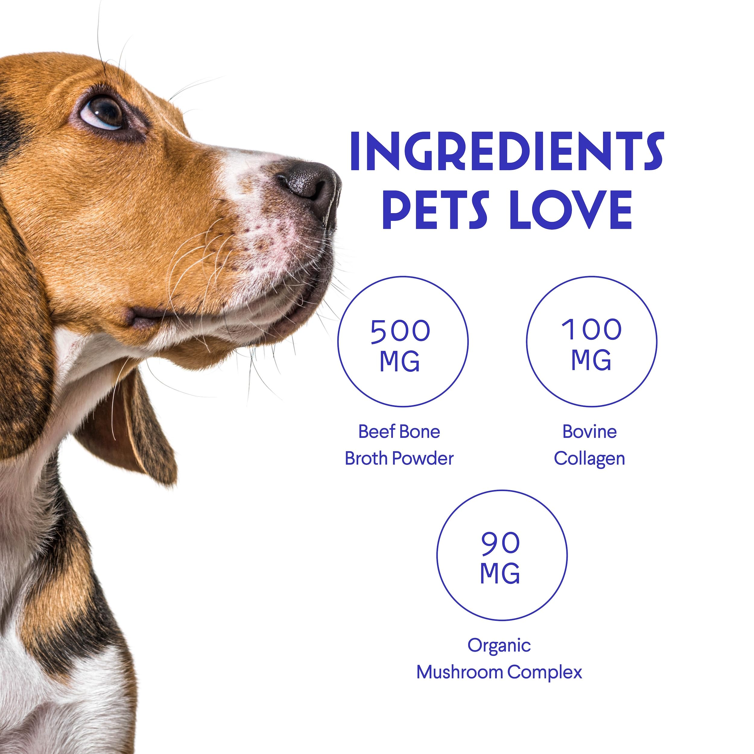 Wonder Paws beef bone broth powder ingredients on front label