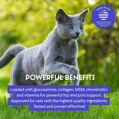 Wonder Paws cat glucosamine liquid mixing bowl shows easy addition to meals.