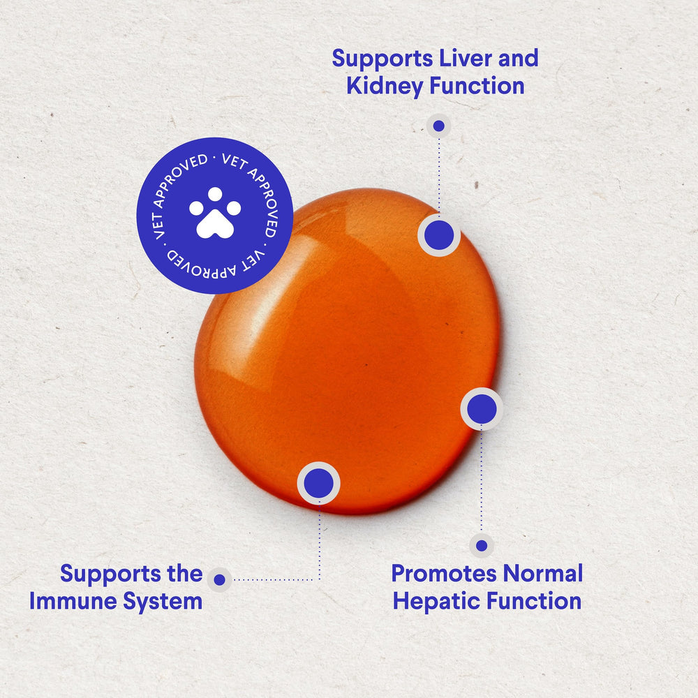 Wonder Paws Curcumin complex close-up suggests liver and kidney support
