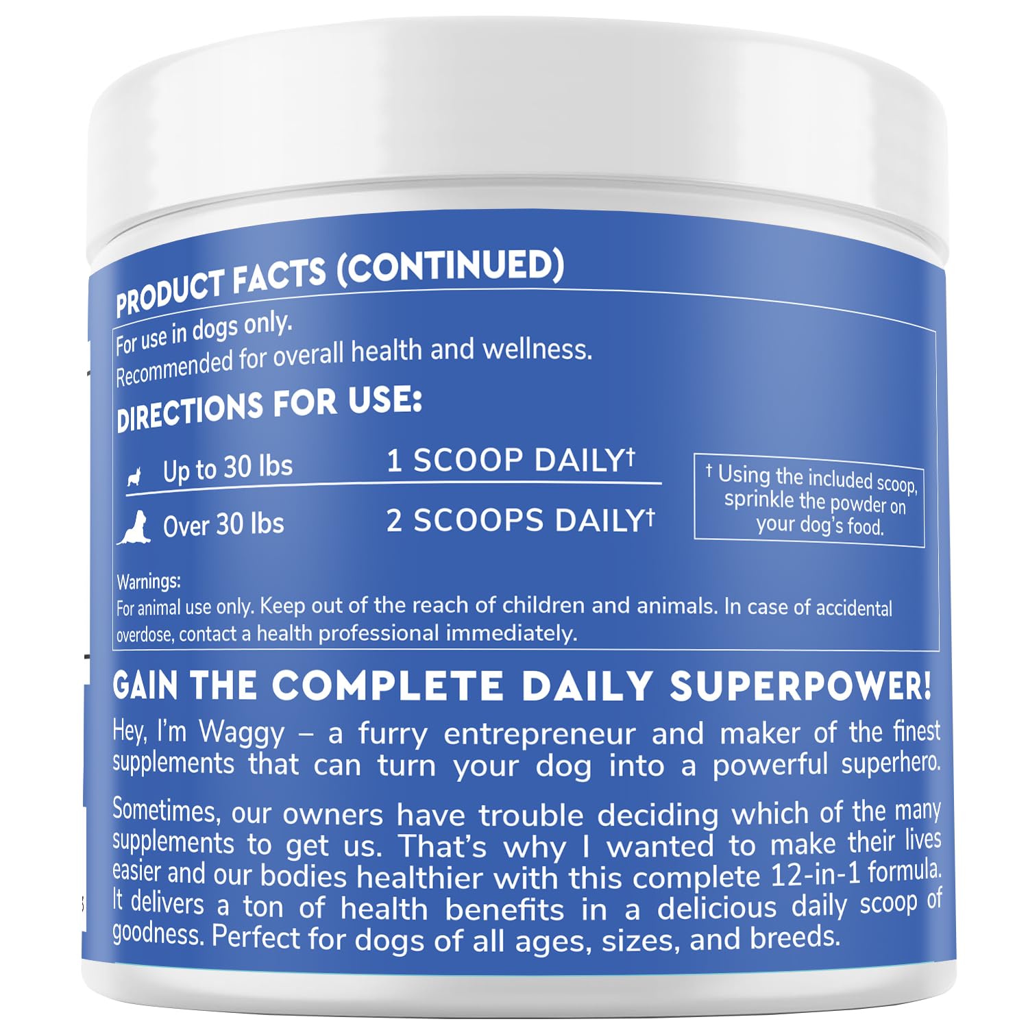 Active dog on a walk with wellness support from Daily Scoop