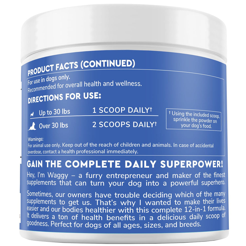 Active dog on a walk with wellness support from Daily Scoop