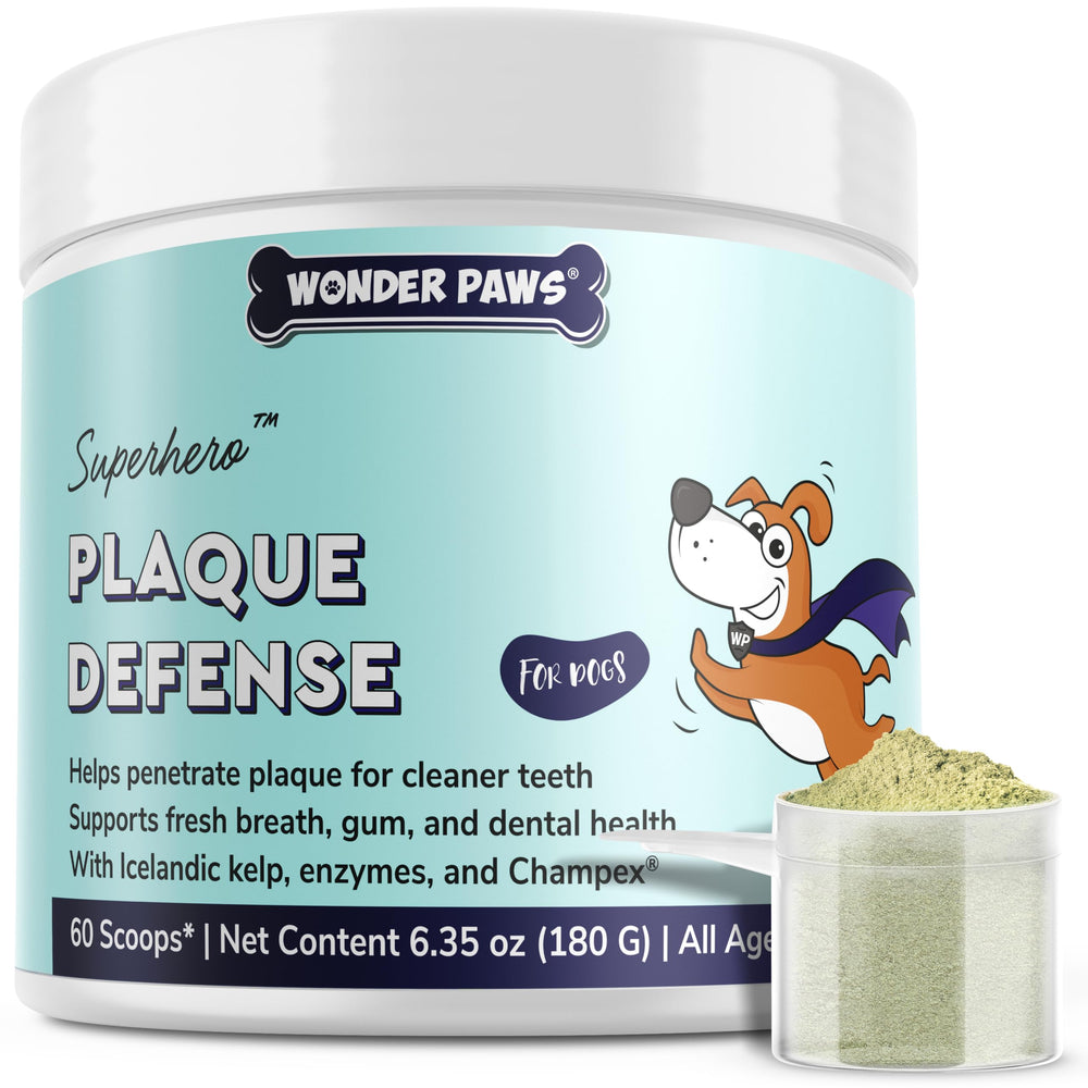Wonder Paws dental powder jar close-up for easy dog oral care.