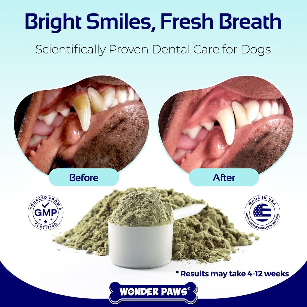 Wonder Paws dental powder scoop in food for fresh breath support.