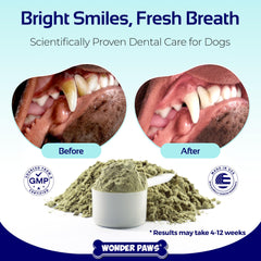 Wonder Paws dental powder scoop in food for fresh breath support.